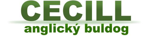 anglický buldog CECILL