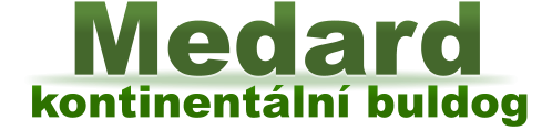 kontinentální buldog Medard