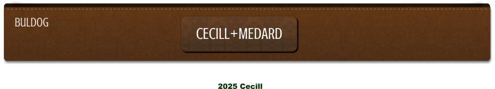 2025 Cecill buldog CECILL+MEDARD CECILL+MEDARD