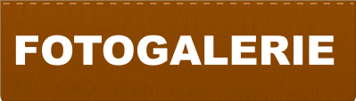 FOTOGALERIE